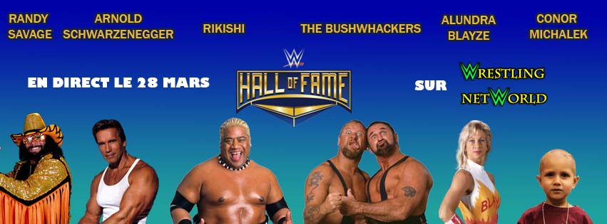 Wwe Hall Of Fame Custom Wallpaper By Wrestling World On