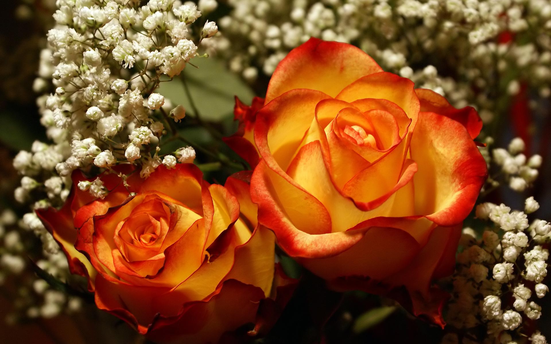 Romantic Roses Wedding Bouquet Puter Desktop Wallpaper