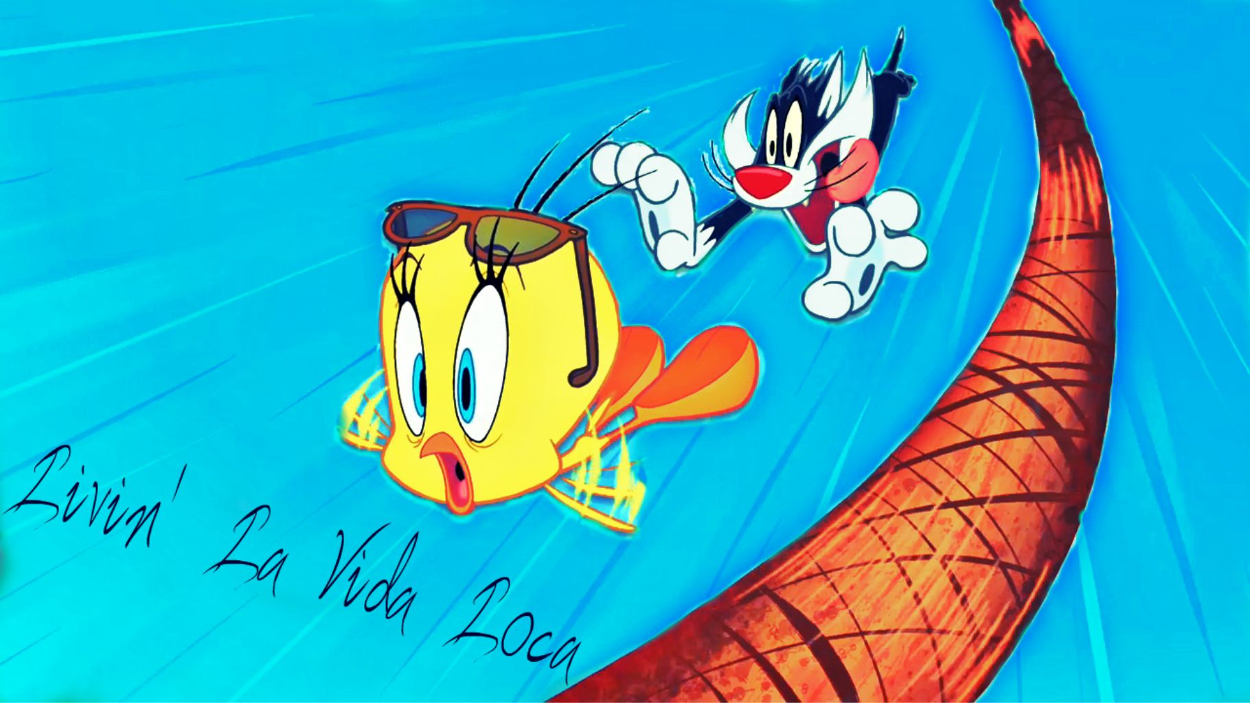 Free Download Tweety Looney Tunes Sylvester F Wallpaper 10x1024 10x1024 For Your Desktop Mobile Tablet Explore 42 Sylvester And Tweety Wallpaper Sylvester And Tweety Wallpaper Tweety Desktop Wallpaper Tweety Wallpaper