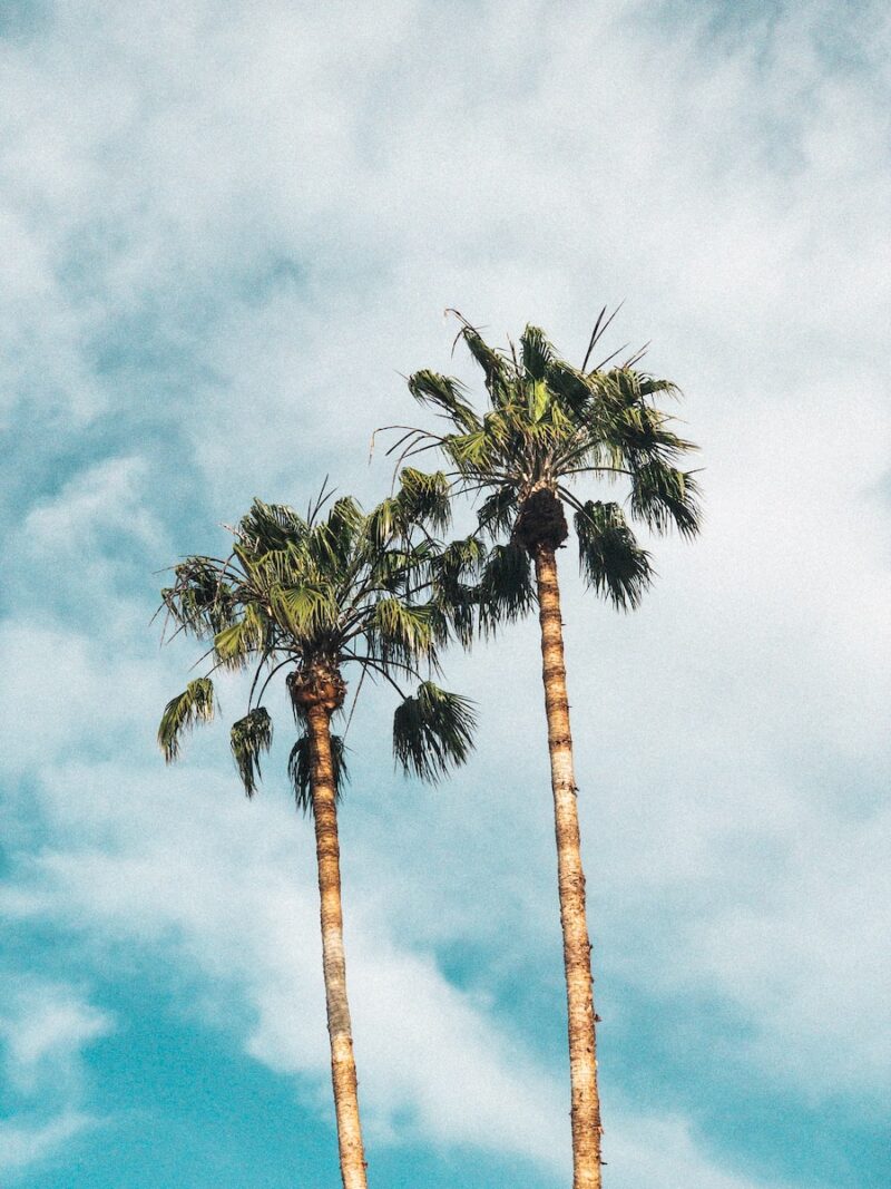Los Angeles Wallpaper That Show The Beauty Of La