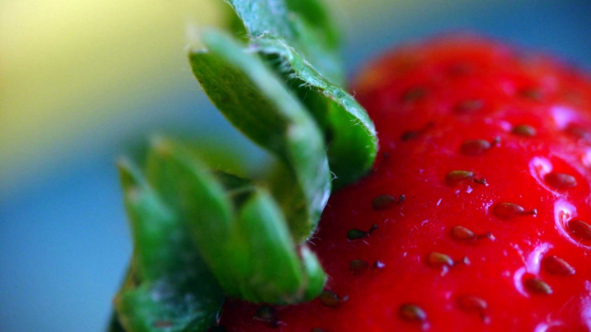 Strawberry Macro HD Wallpaper