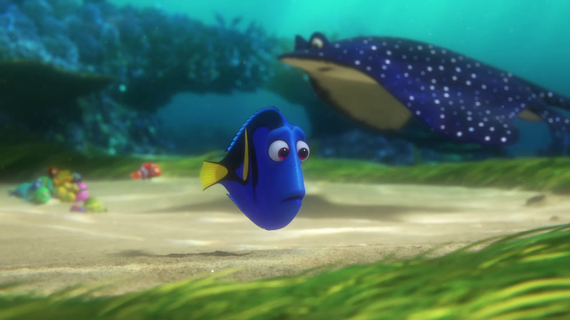 HD Screencaps From Finding Dory Movie Wallpaper