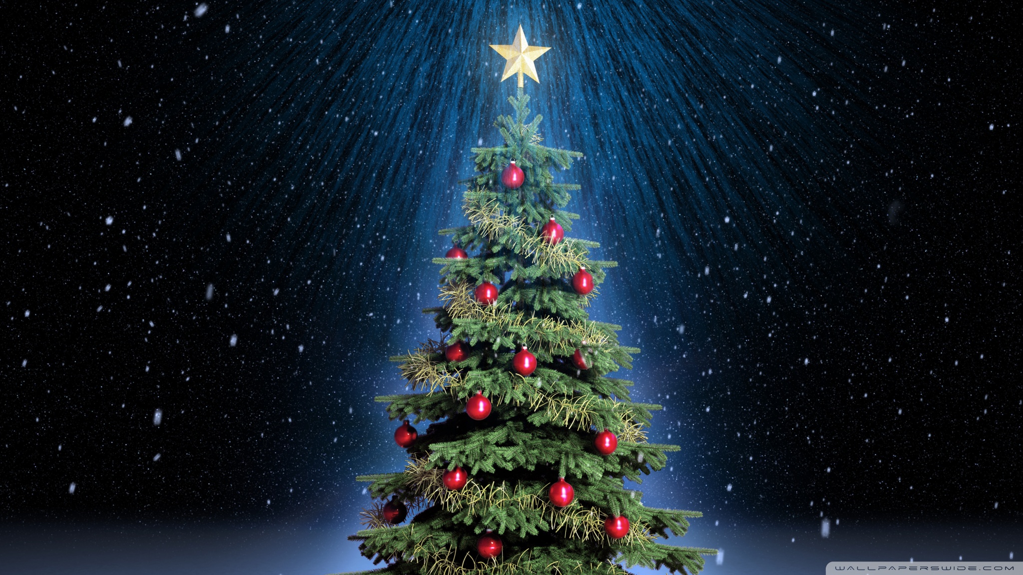 Classic Christmas Tree 4k HD Desktop Wallpaper For Ultra