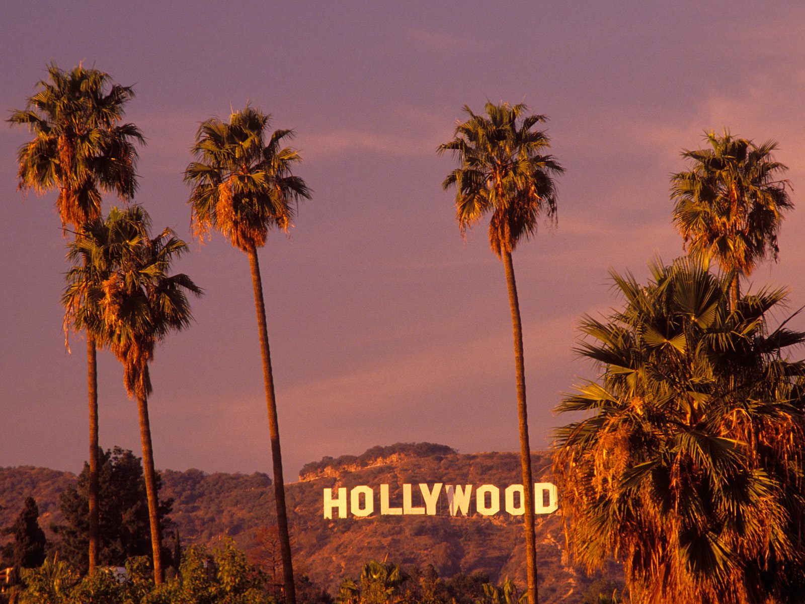 Background Hollywood California Cool Background