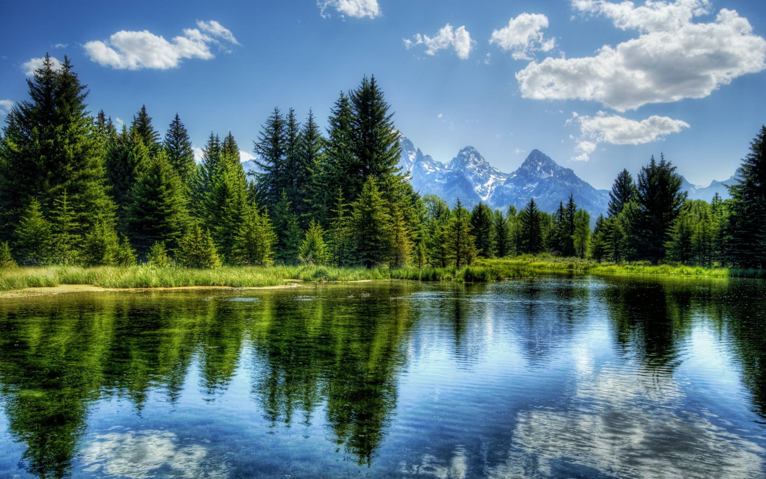 Nature HDr River Trees Mountain Landscape Wallpaper HD