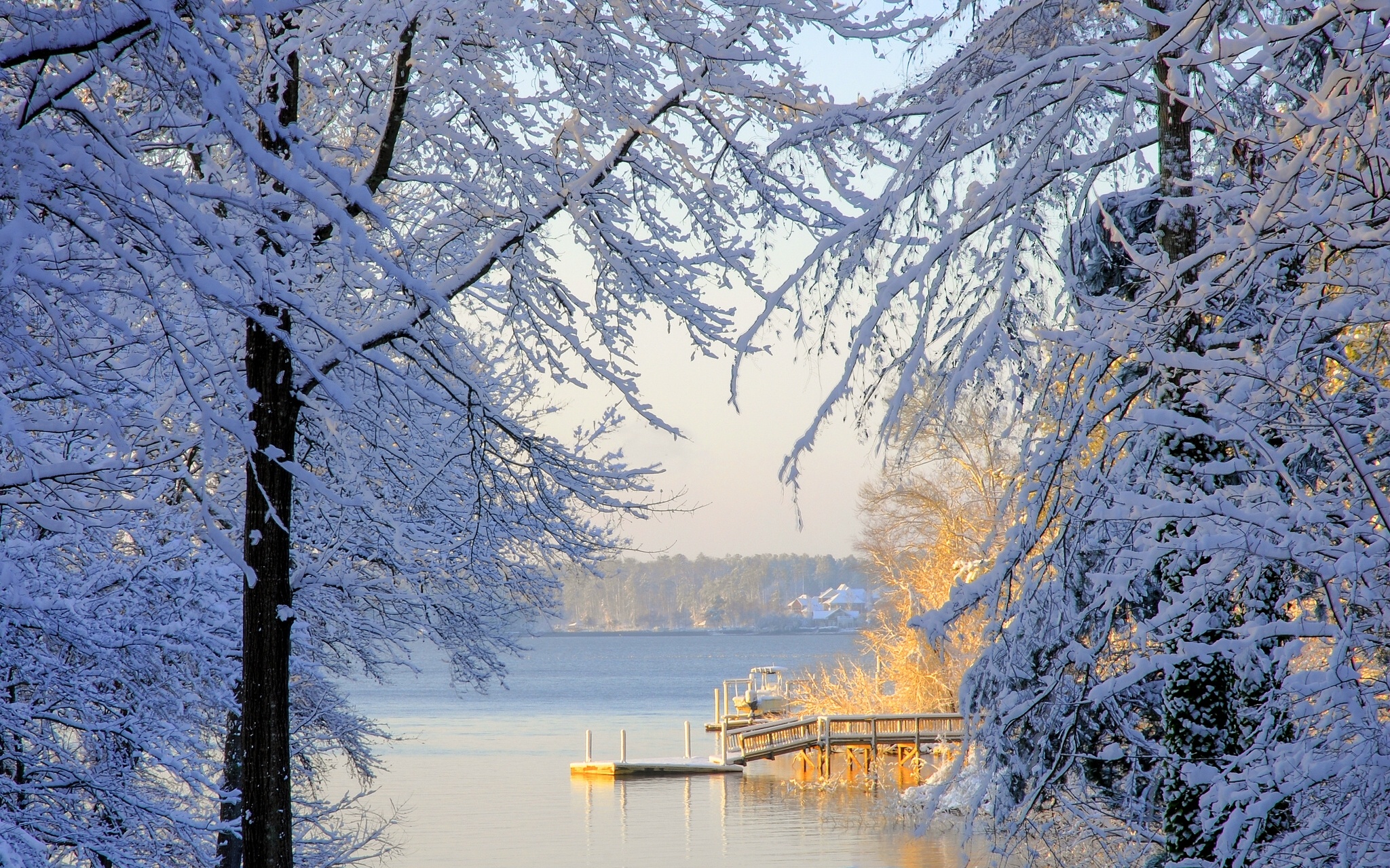 South Carolina Winter Snow Trees Lake Wallpaper Background