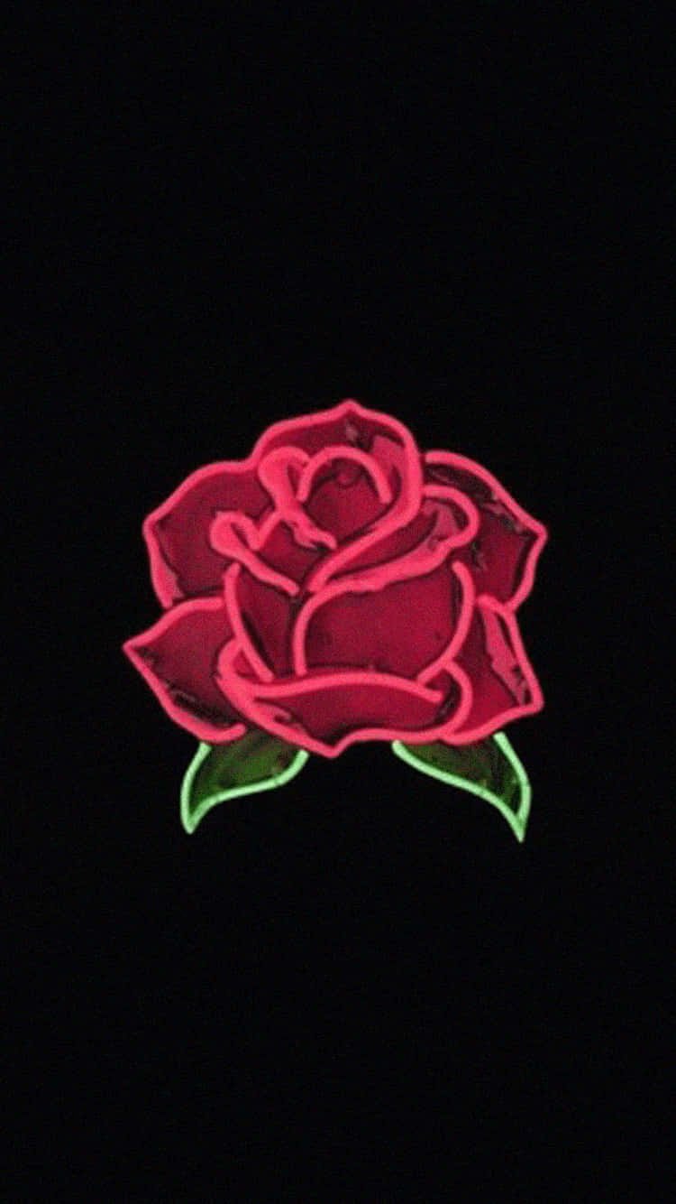 Black Rose Aesthetic Wallpaper