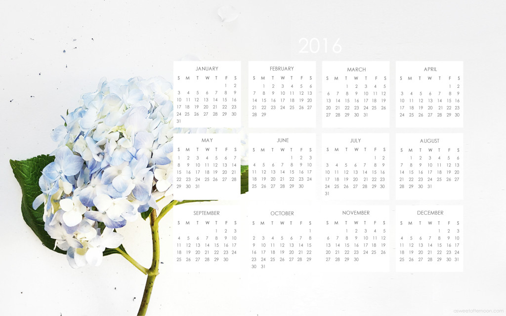 Happy 2016 2016 Calendar Blue Hydrangea Desktop Wallpaper Free