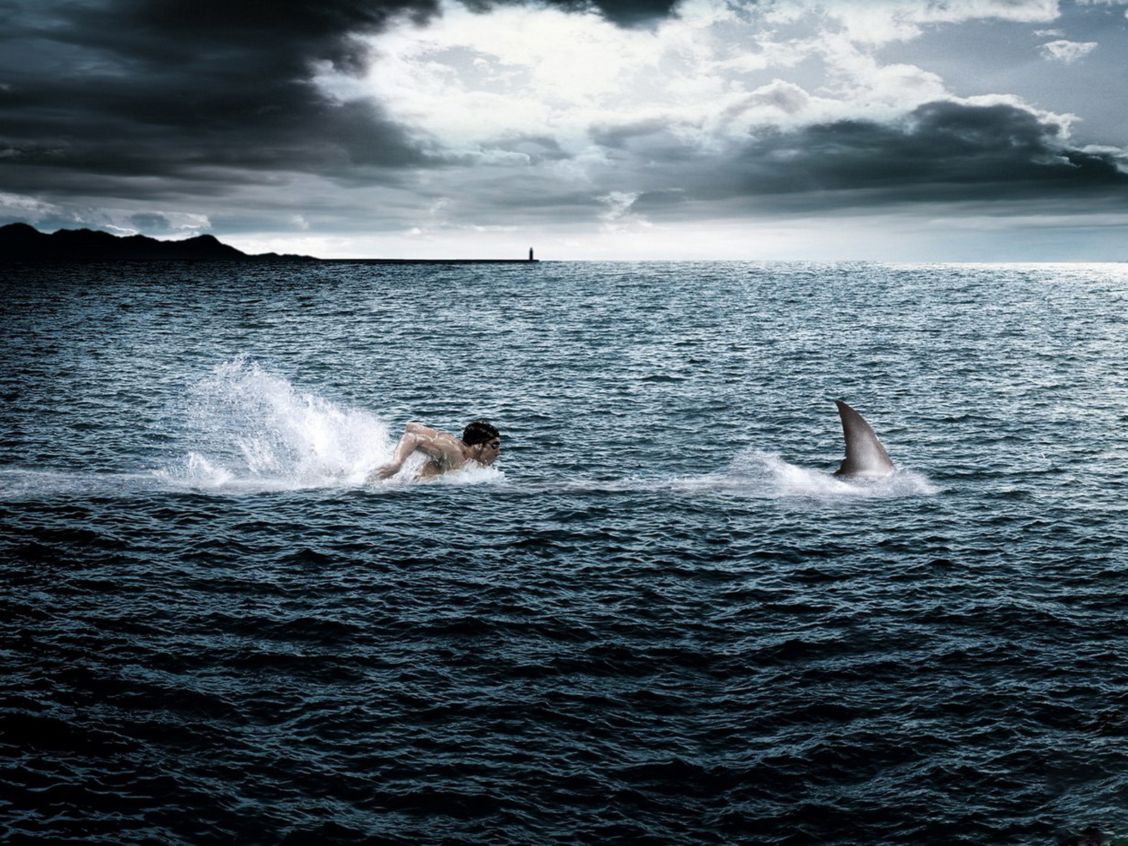 Extreme Swimming Wallpaper And Image