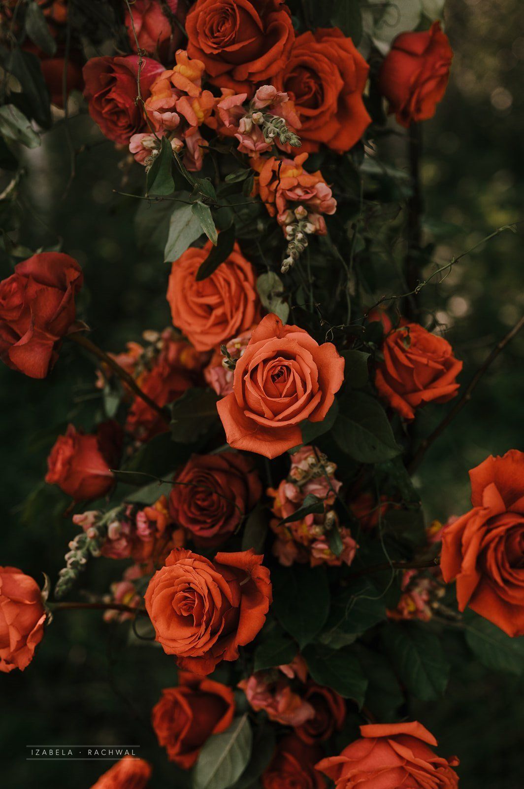Wedding Aesthetic Wallpaper