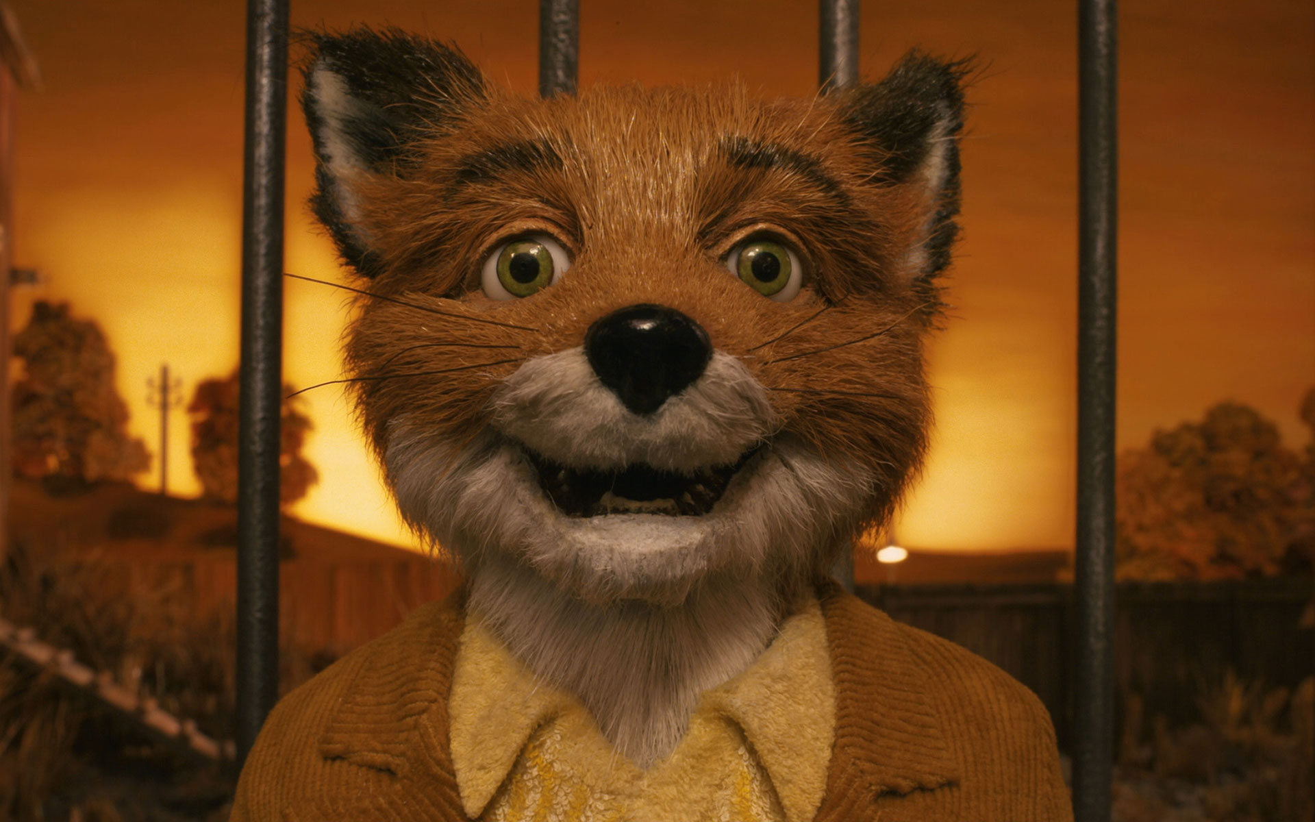 Movie Fantastic Mr Fox Wallpaper