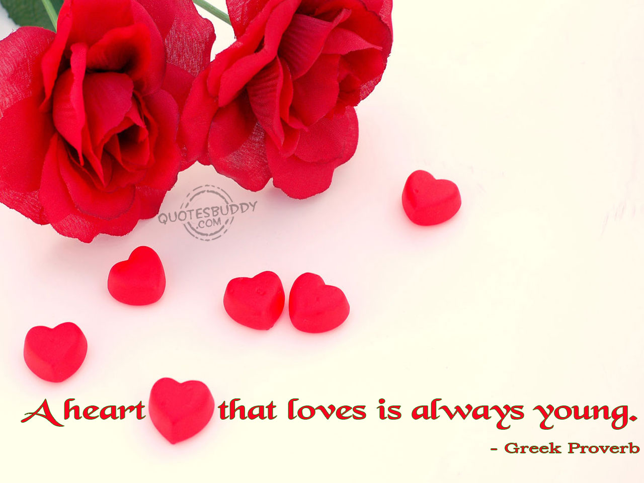 Most Beautiful Love Quotes Image With Resolutions Pixel