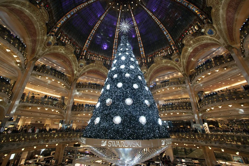 It Is Always A Great Surprise To Discover The Beautiful Chrismas Tree