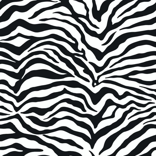 Free download All About Black And White Black And White Wallpaper ...