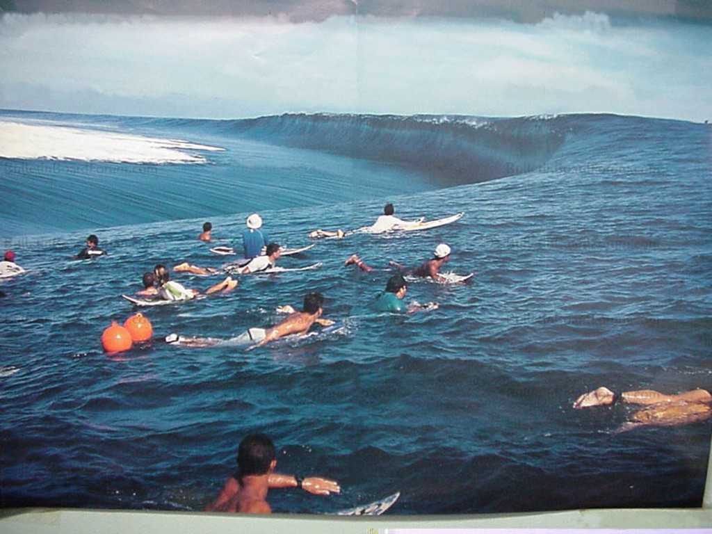 Tsunami Surfing Sports Wallpaper Image Featuring