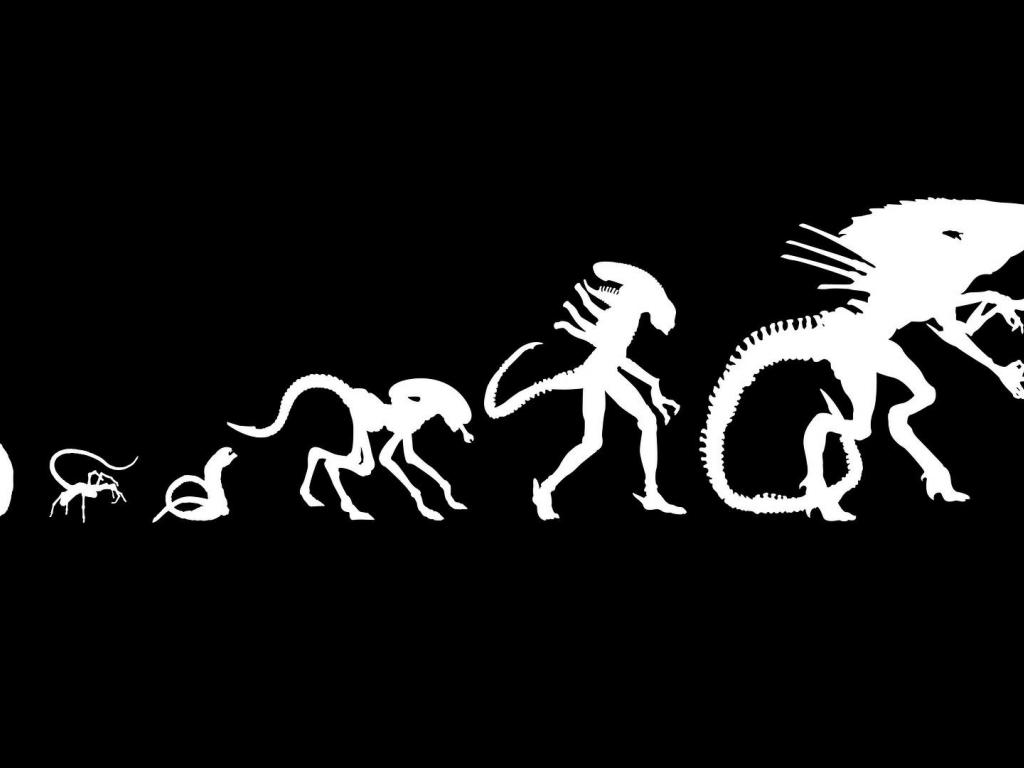 🔥 [48+] Wallpaper Hangers Columbia SC WallpaperSafari