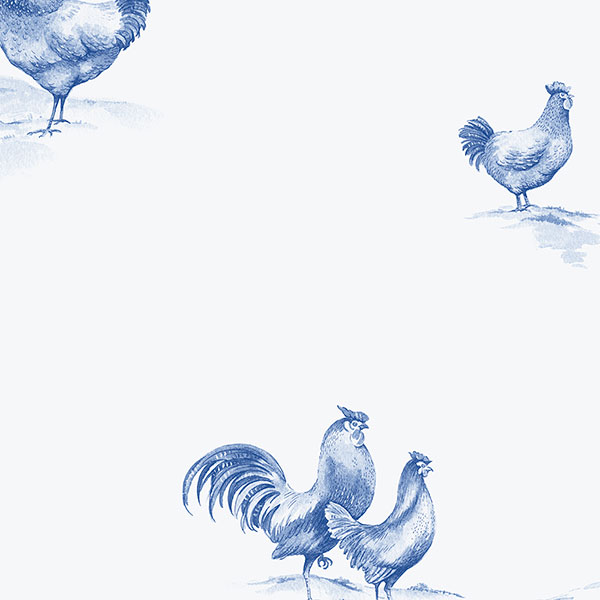 🔥 Free download Blue and White Rooster Wallpaper [600x600] for your