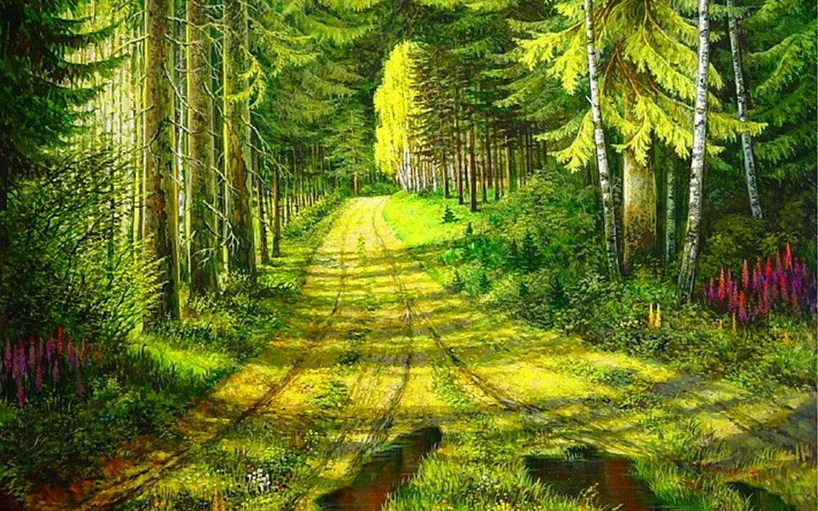 Beautiful Forest Path Wallpaper