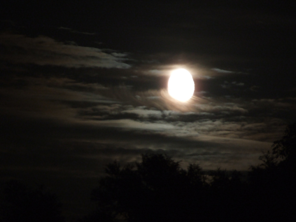 night moon