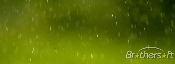 Animated Wallpaper Rain Desktop