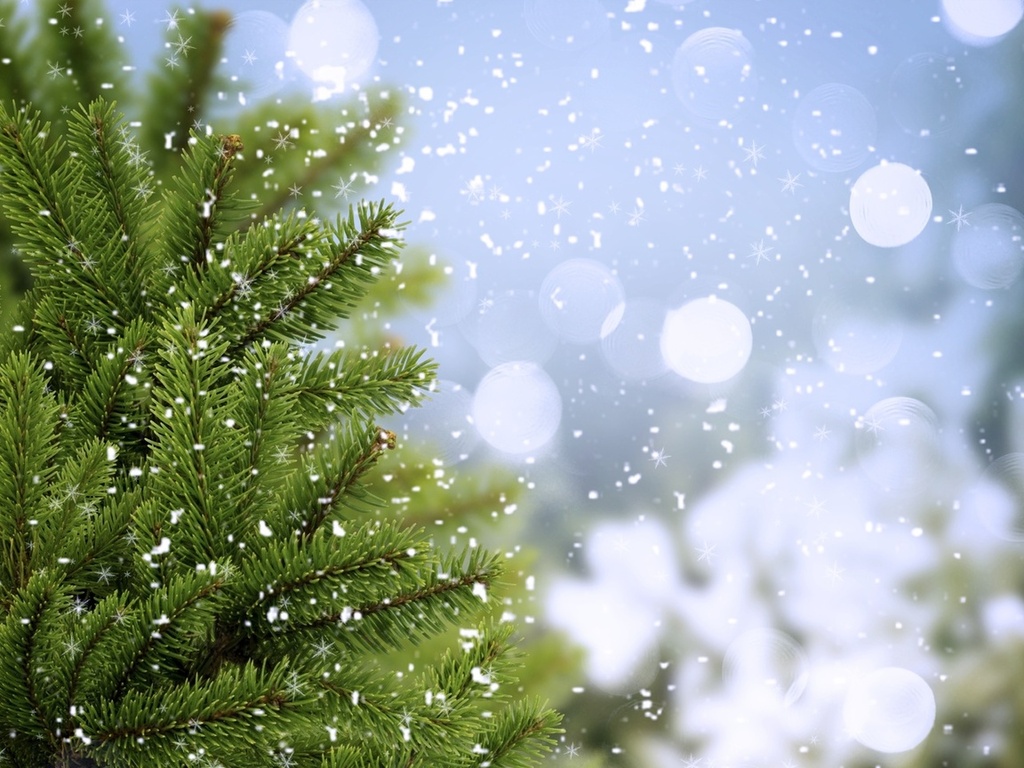 Abstract Winter Tree Bubbles And Snowflakes Background For