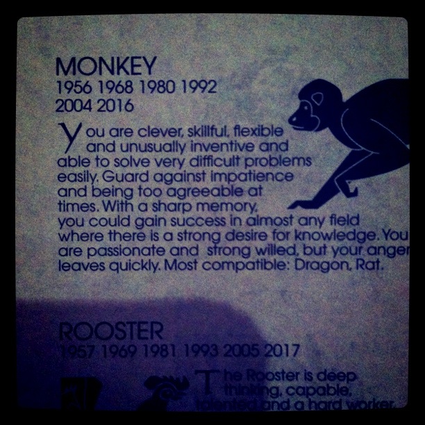 Monkey Zodiac By Postmodernromance