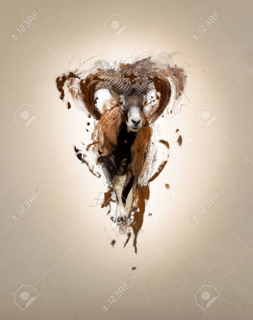 Mouflon Abstract Animal Concept Stock Photo Picture And Royalty