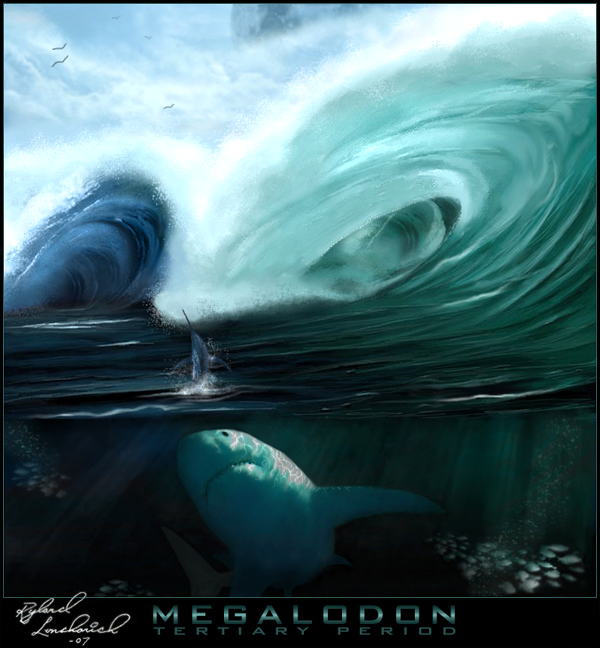The Era Of Megalodon By Geffex
