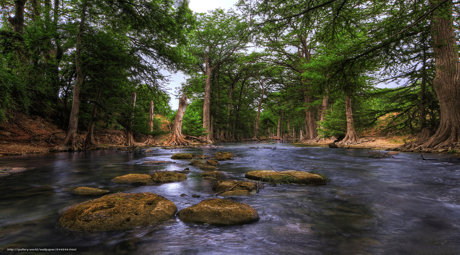 Download wallpaper Guadalupe River Hill Country texas USA free