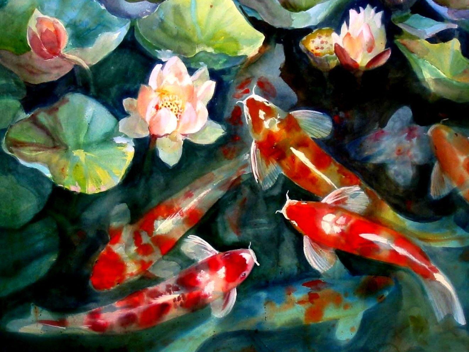 Gallery For Gt Koi Background