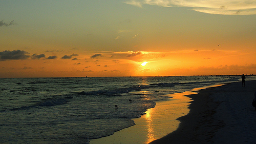 Siesta Key Beach Sunset Photo Sharing
