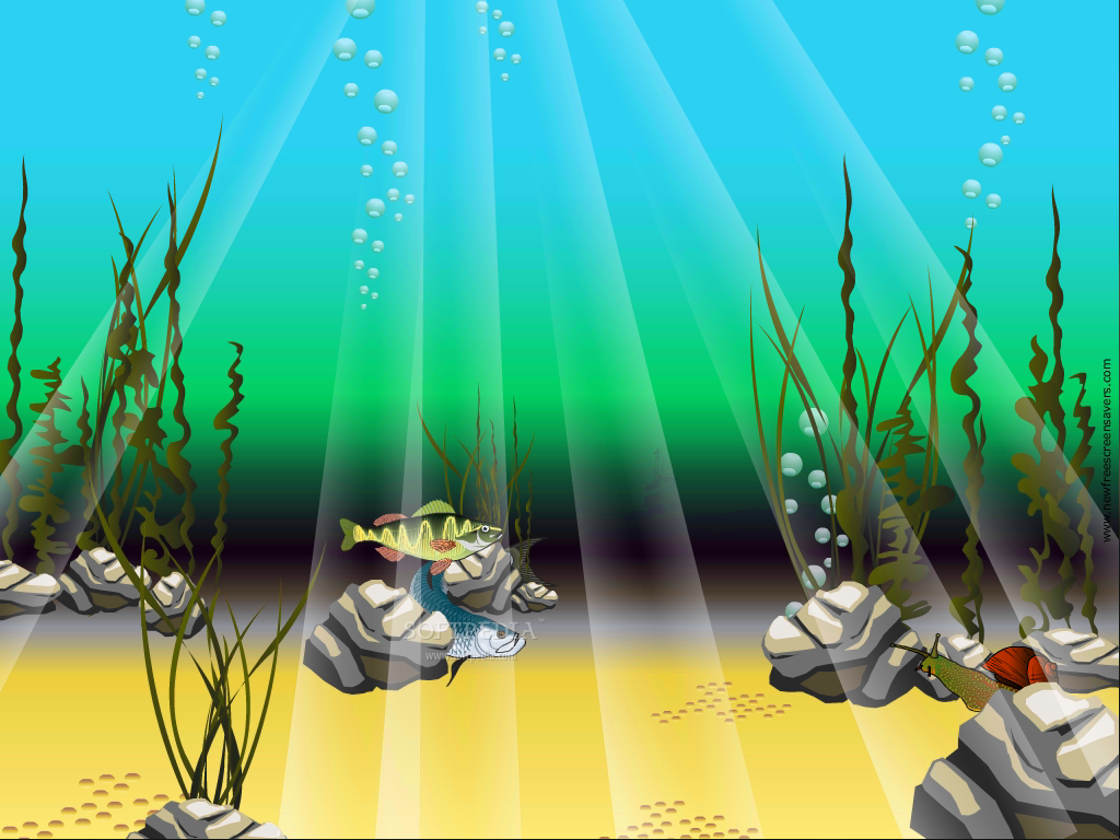 [48+] Animated Underwater Wallpaper - WallpaperSafari