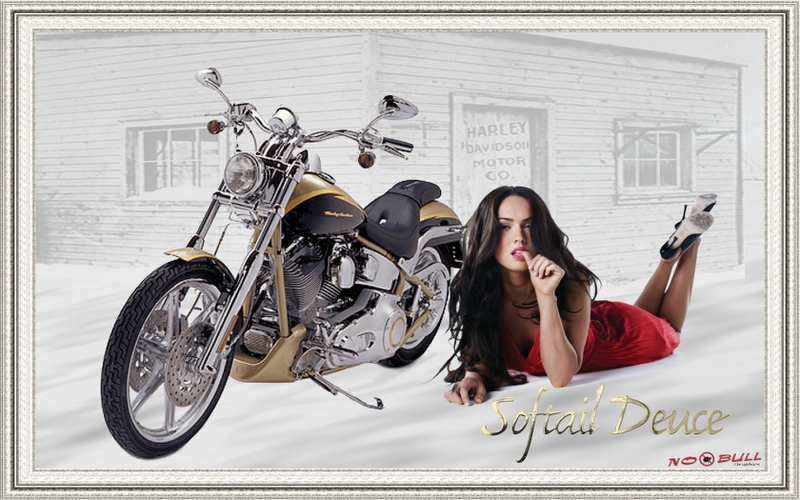 Harley Softtail Megan Fox Motorcycles Davidson HD Wallpaper