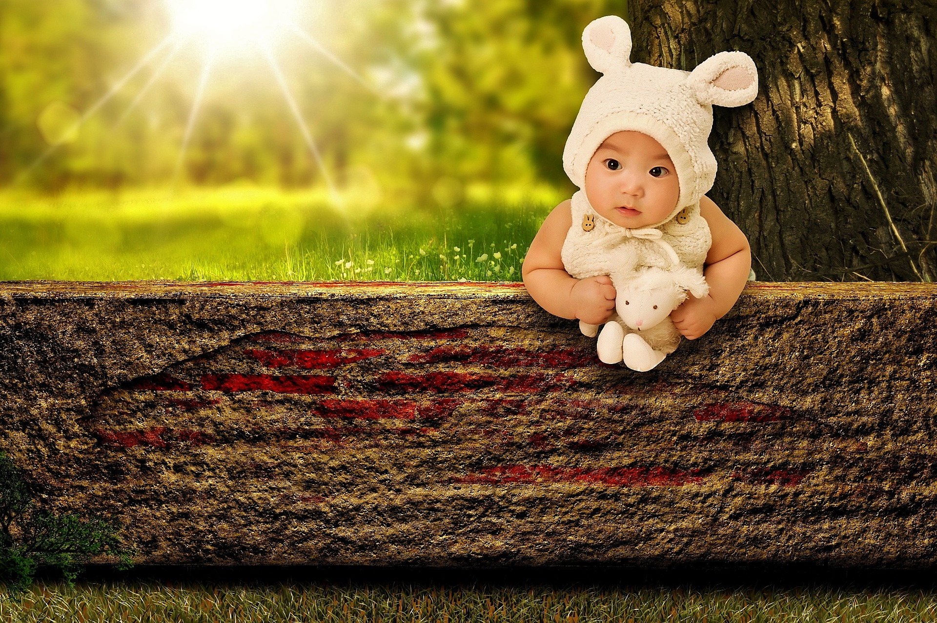 Photography Baby HD Wallpaper