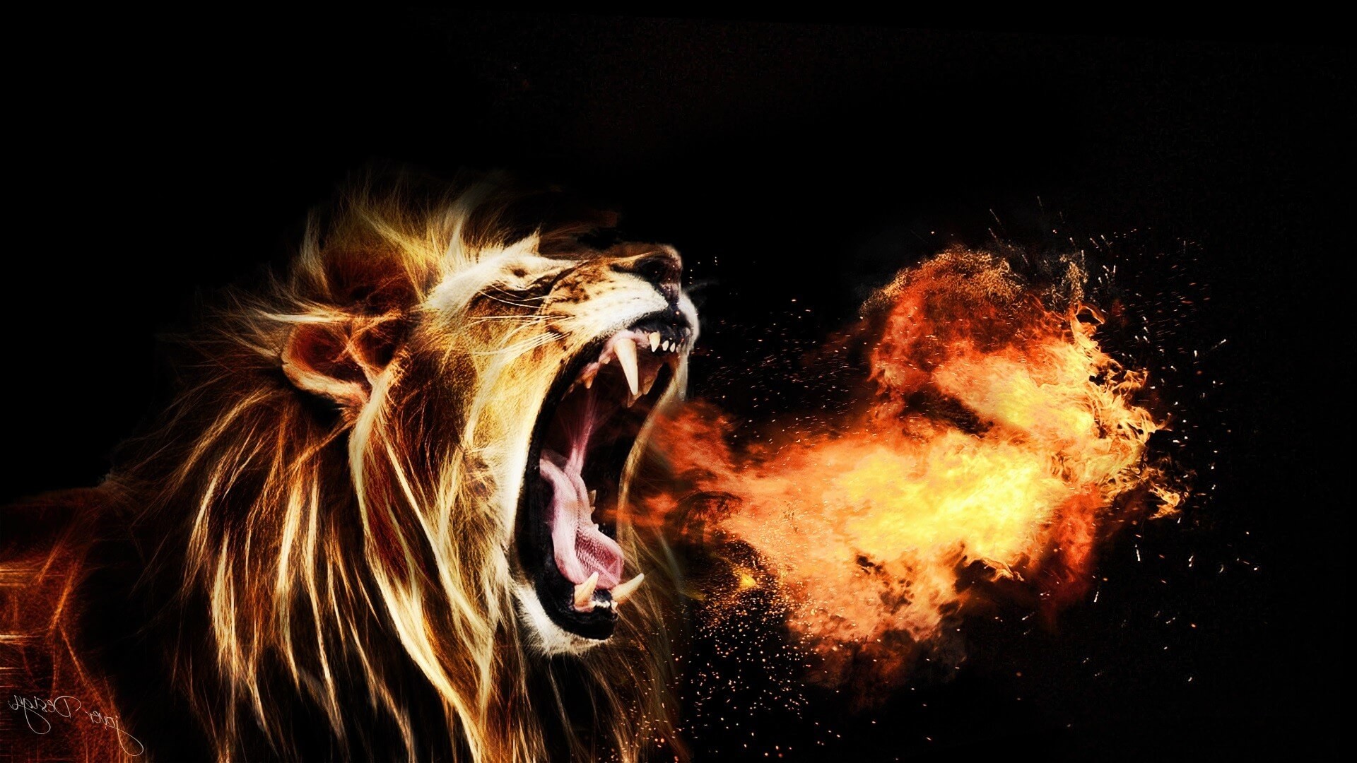 Angry Lion Eyes Wallpaper