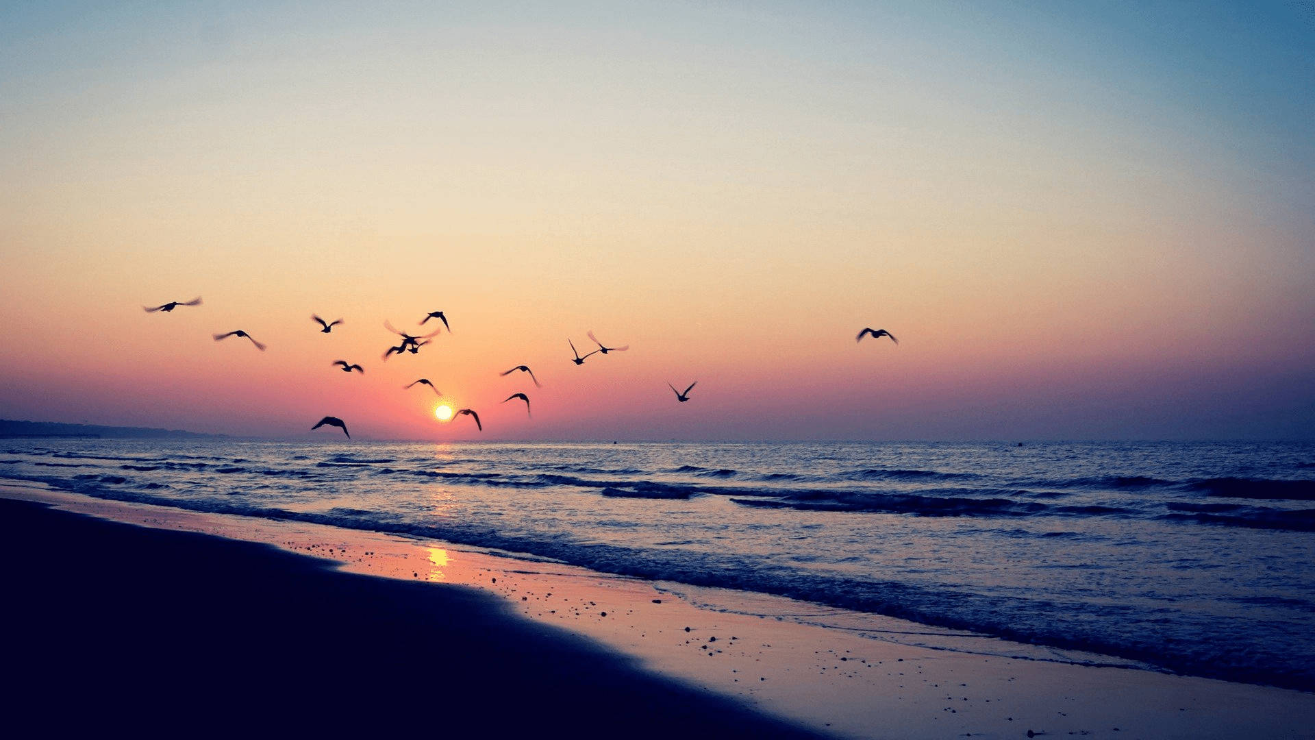 Aesthetic Sunset Wallpaper