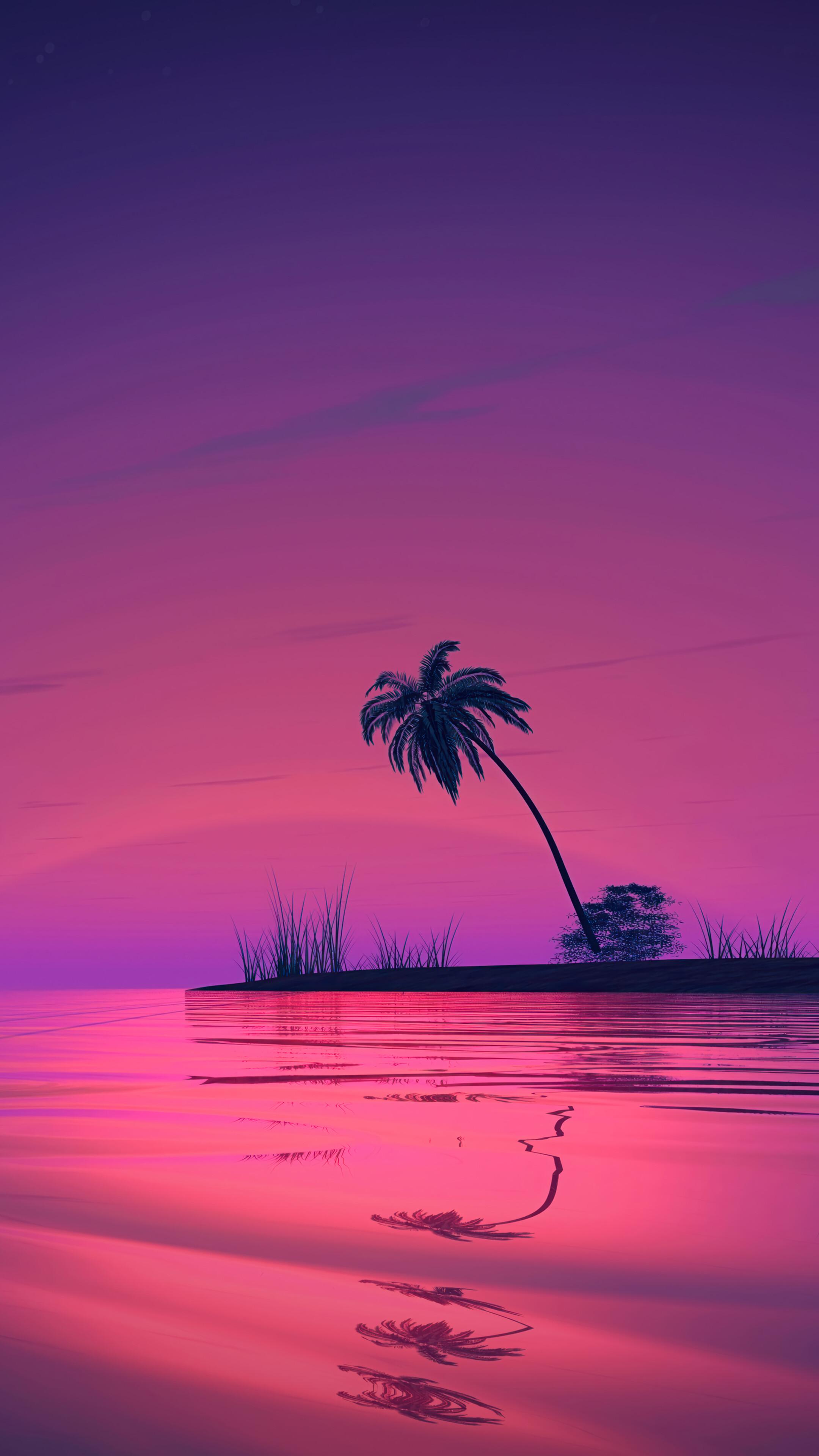 Sunset Palm Tree Scenery 4K Wallpaper iPhone HD Phone 3161m