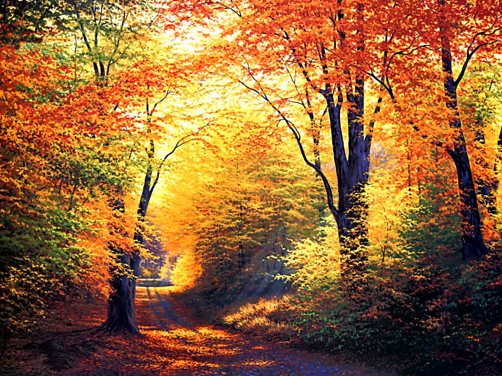 Beautiful Autumn Season Wallpaper HD