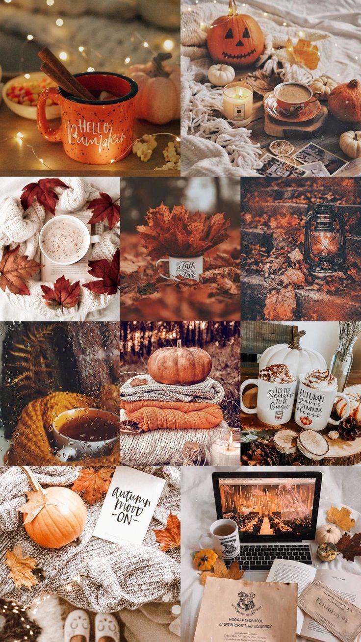 Autumn Wallpaper Cute Fall Thanksgiving