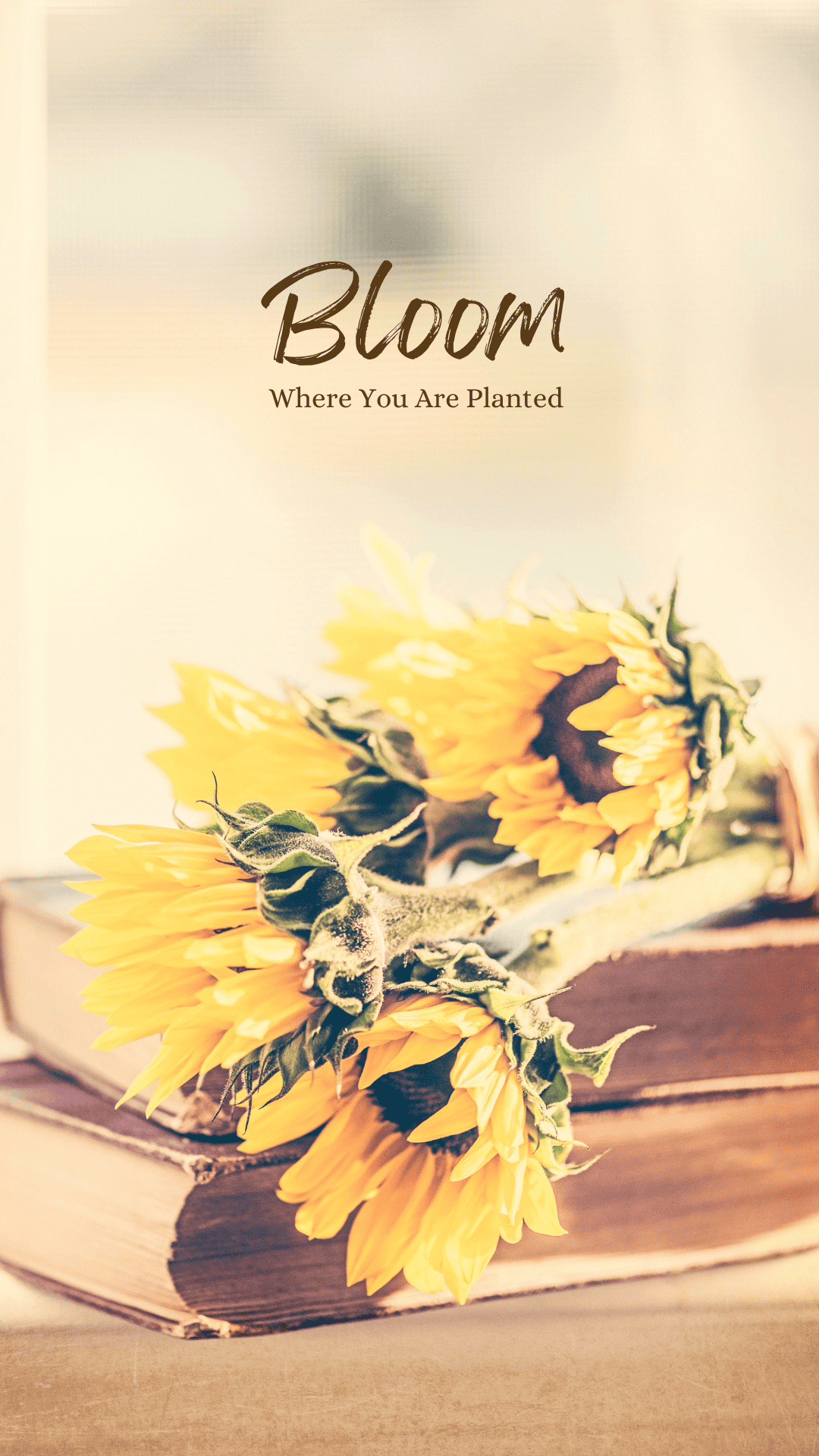 Inspiring Bible Verse Wallpaper For Your Phone The Creator S