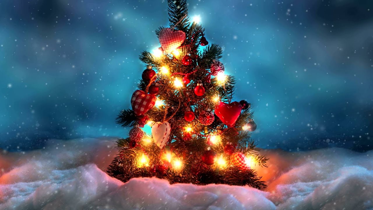 Lighted Christmas Tree Wallpaper Picserio