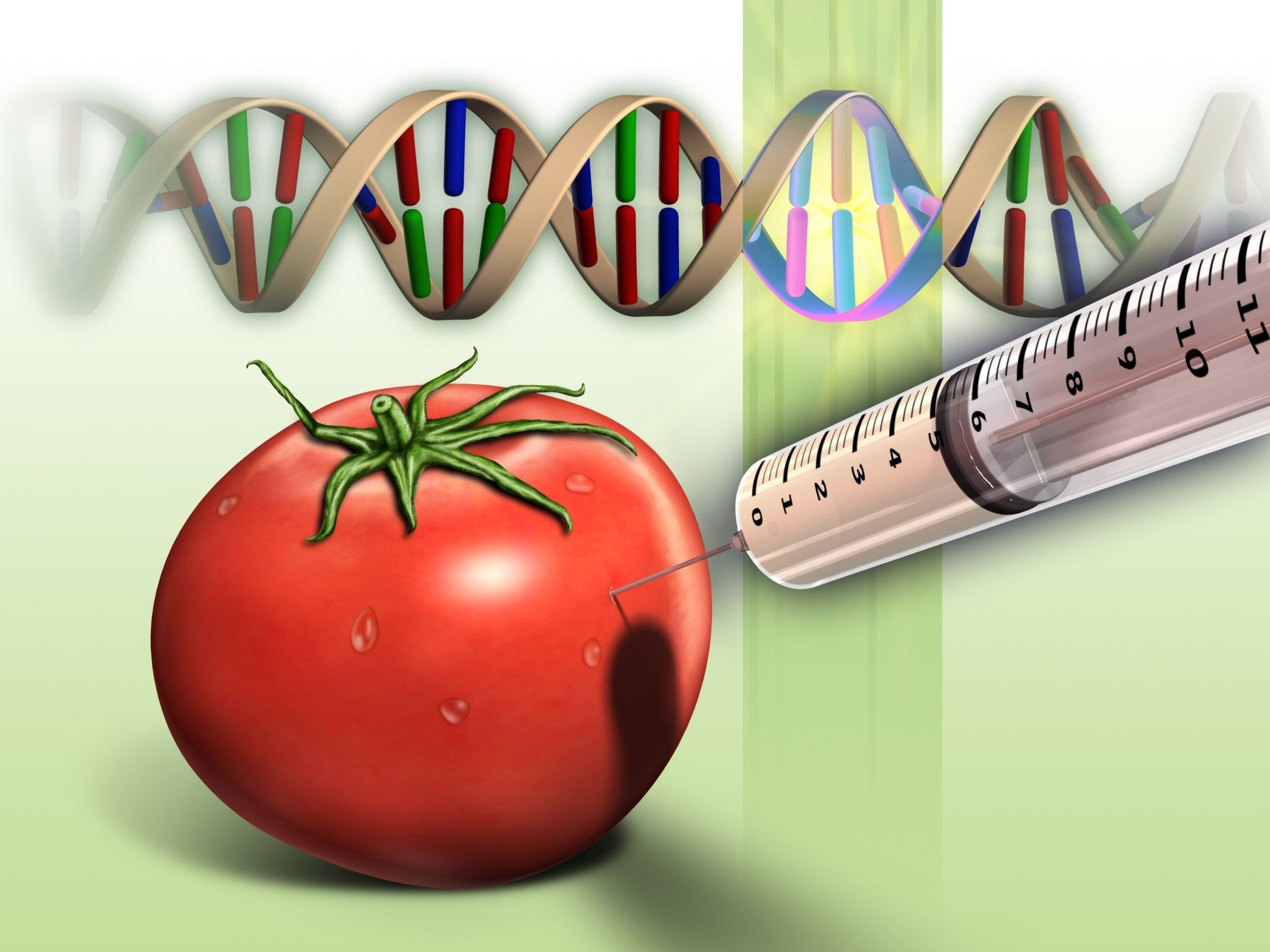 Food Background Wallpaper Gmo Facts Geically Modified