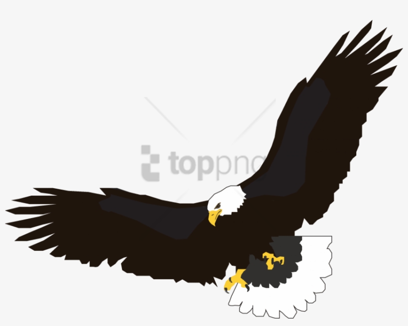 Png Eagle Flying Image Background Clip Art