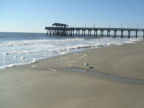 Tybee Island Ga Search Pictures Photos