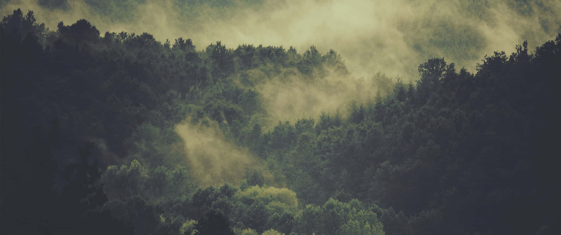 Ultra Wide Nature Wallpaper