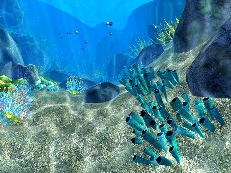 Ocean Fish Clip Art Screensaver