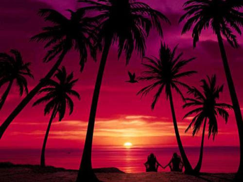 free animated beach wallpapers enjoy animated beach wallpapers for