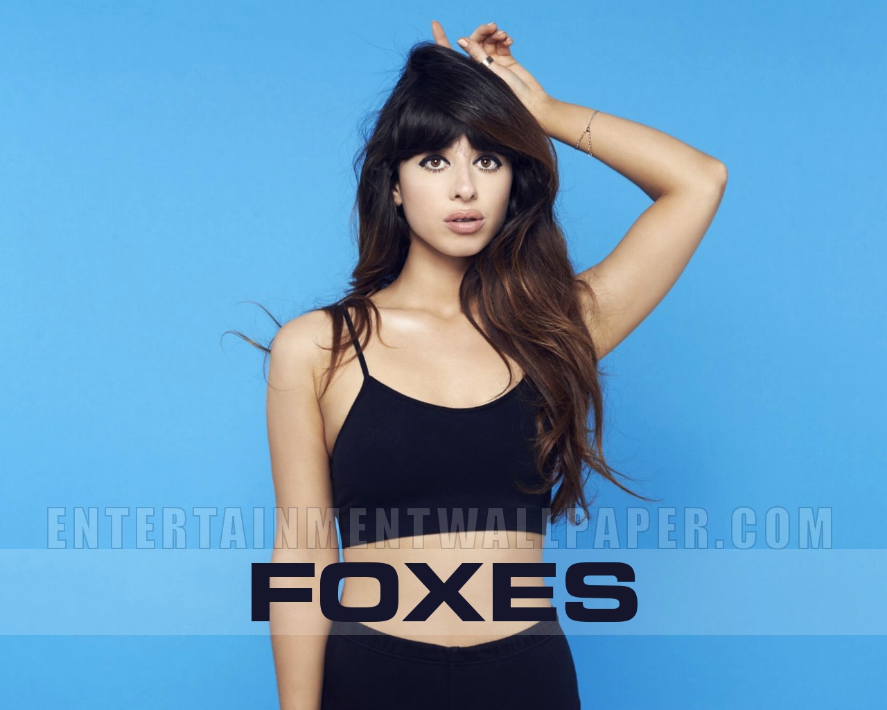 Foxes Wallpaper Singer