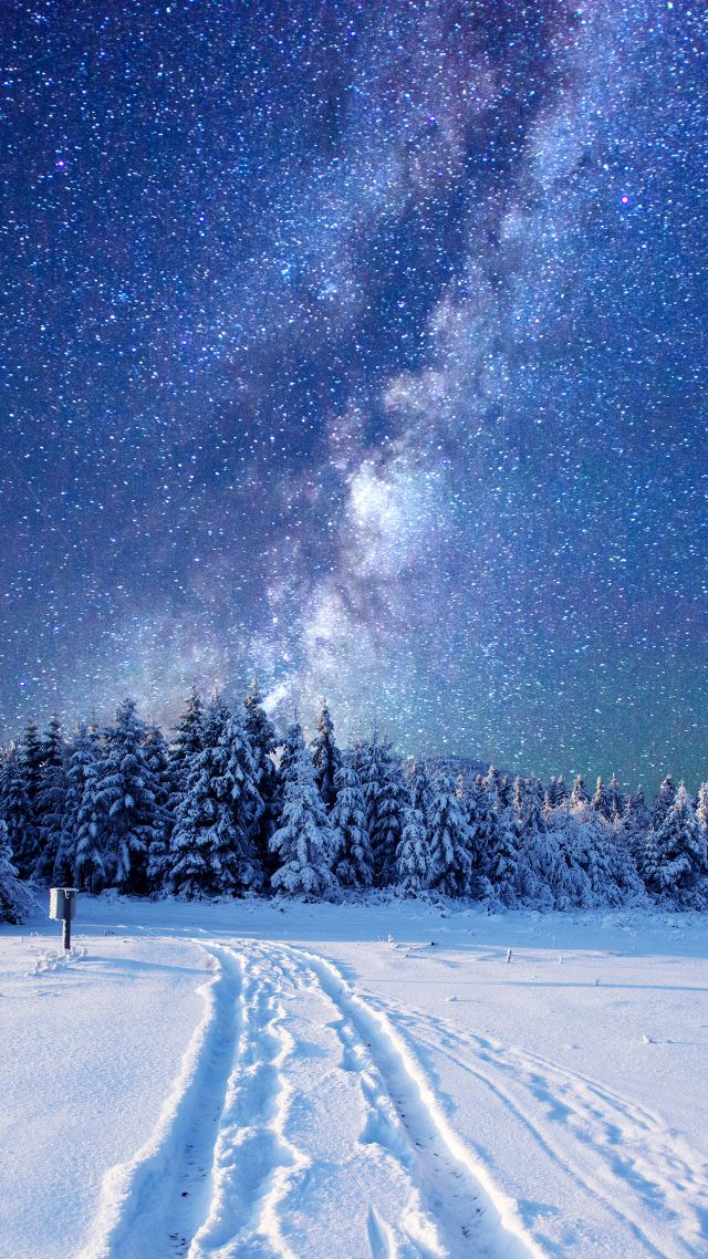 Winter Night Sky Printable