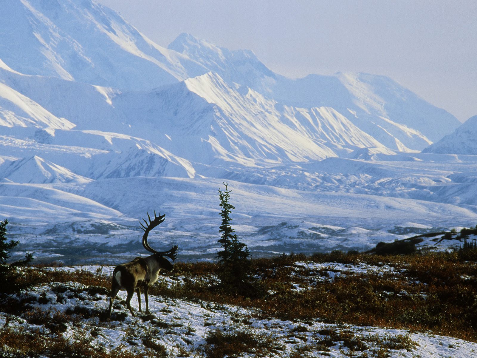 50 Alaska Wallpaper Screensaver On Wallpapersafari
